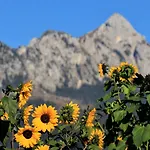 Köpf Gasthof Füssen