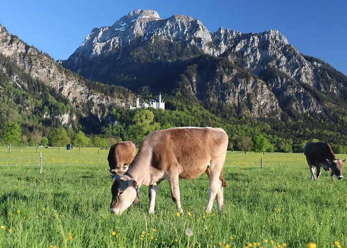 Gaestehaus Koepf Vendégház Füssen