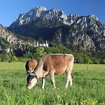 Gaestehaus Koepf Πανσιόν Füssen